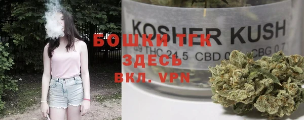 ГАЛЛЮЦИНОГЕННЫЕ ГРИБЫ Краснослободск