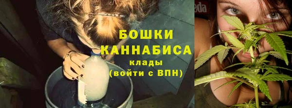 ГАЛЛЮЦИНОГЕННЫЕ ГРИБЫ Краснослободск