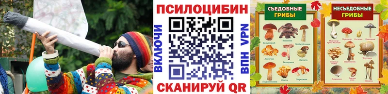 Купить где  Алдан  Галлюциногенные грибы мухоморы 