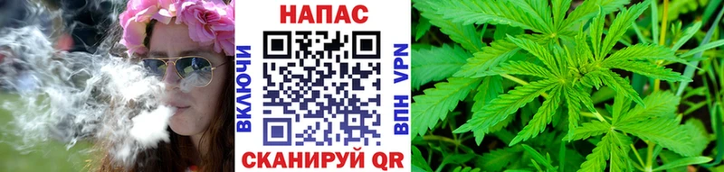 Купить где  Алдан  Бошки Шишки MAZAR 